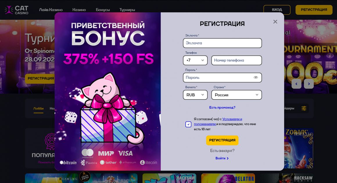 Регистрация на официальном сайте Cat Casino